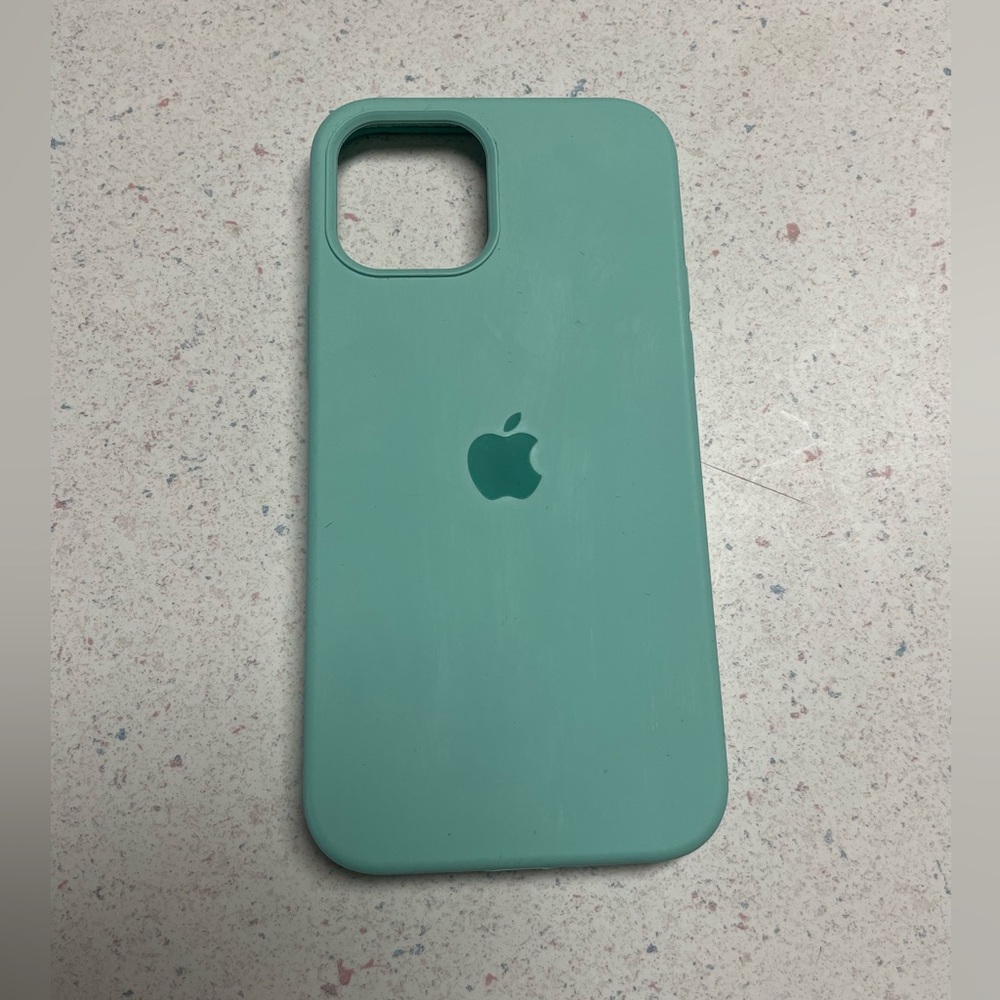 iPhone 12 apple case
